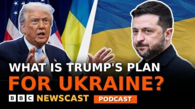 Does President Trump's plan bring Russia and Ukraine any closer to peace? | BBC Newscast