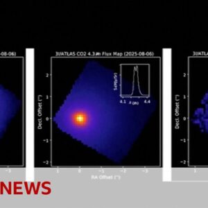 Nasa releases new images of interstellar object | BBC News