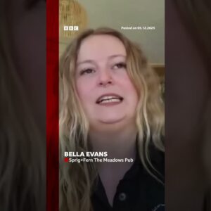 A baby seal walks into a bar in Richmond, New Zealand. #NewZealand #BBCNews