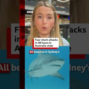 Four shark attacks in 48 hours in Australia state. #Australia #BBCNews