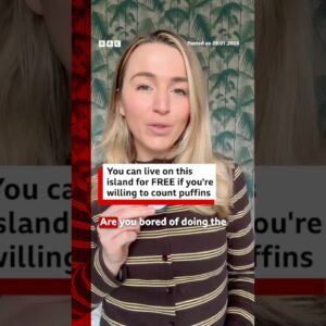 Fancy living on an island for free? You can - if you're happy to count puffins. #Puffins #BBCNews