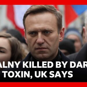 Russia killed Alexei Navalny using dart frog toxin, UK says | BBC News