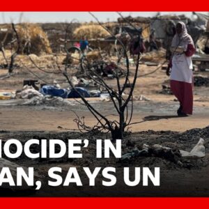 Sudan atrocities 'hallmarks of genocide', UN says | BBC News
