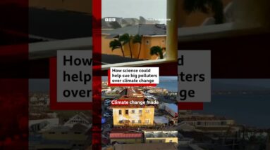 How science could help sue big polluters over climate change. #AttributionScience #BBCNews