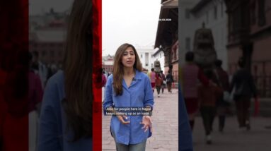 Nepal is having its first election since the Gen Z protests. #Nepal #BBCNews