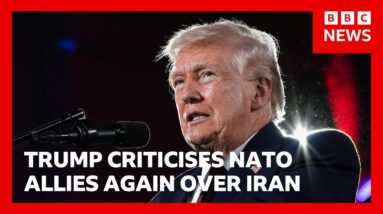 Donald Trump criticises Nato allies again over Iran | BBC News