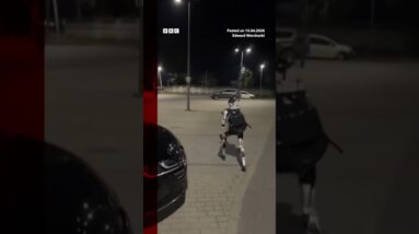 The humanoid robot, known as Edward Warchocki, was filmed chasing boars in Warsaw, Poland. #BBCNews