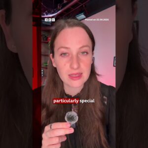 Madonna offering reward for the return of her missing Coachella outfit. #Madonna #USNews #BBCNews