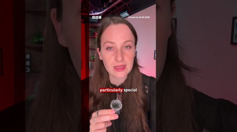 Madonna offering reward for the return of her missing Coachella outfit. #Madonna #USNews #BBCNews