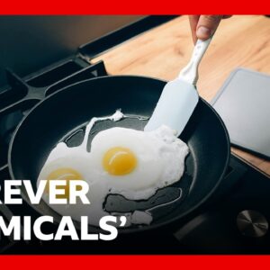 Ban 'forever chemicals' in uniforms and frying pans, UK MPs urge | BBC News