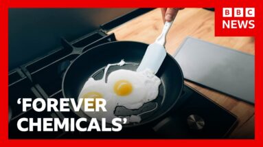 Ban 'forever chemicals' in uniforms and frying pans, UK MPs urge | BBC News