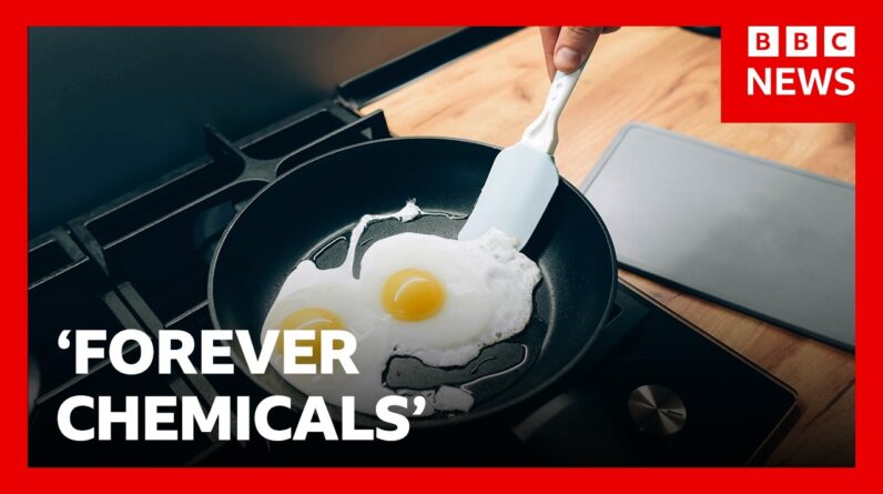 Ban 'forever chemicals' in uniforms and frying pans, UK MPs urge | BBC News
