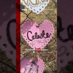 Teen found in singer D4vd's car died of 'multiple injuries'. #D4vd #CelesteRivasHernandez #BBCNews