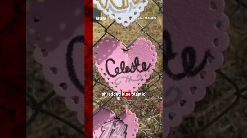 Teen found in singer D4vd's car died of 'multiple injuries'. #D4vd #CelesteRivasHernandez #BBCNews