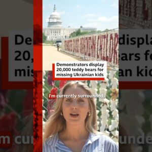 Demonstrators display 20,000 teddy bears in DC for missing Ukrainian children. #BBCNews