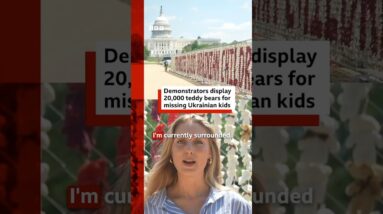 Demonstrators display 20,000 teddy bears in DC for missing Ukrainian children. #BBCNews