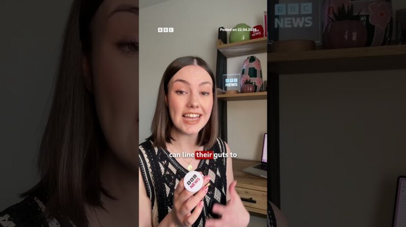 Monkeys 'learn to eat soil to cope with junk food'. #Monkeys #Gibraltar #BBCNews