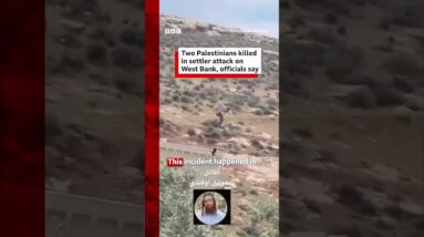 Two Palestinians killed during settler attack on West Bank village, officials say. #BBCNews