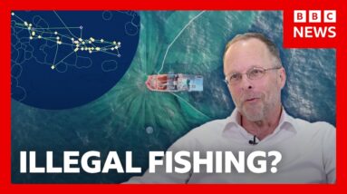 Inside the mission to track global fishing | BBC News