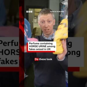 Perfume containing horse urine among fakes seized in UK. #BBCNews
