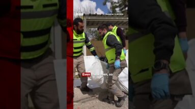 Paramedics in Lebanon speak to BBC after Israeli strikes. #Lebanon #Israel #BBCNews