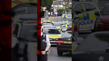 What we know about the Golders Green stabbings