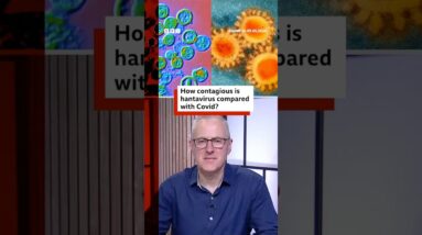 How contagious is hantavirus compared with Covid? #Hantavirus #Covid #BBCNews