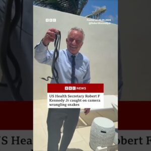 RFK Jr caught on camera wrangling snakes at Dr Oz’s beach house. #Florida #BBCNews