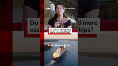 Do viruses spread more easily on cruise ships? #Hantavirus #BBCNews