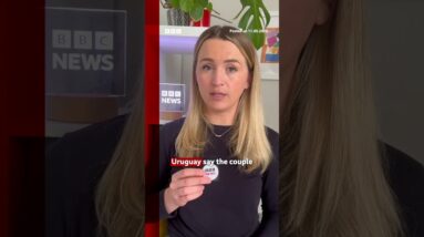 What do we know about the hantavirus 'patient zero'? #Hantavirus #Cruise #BBCNews