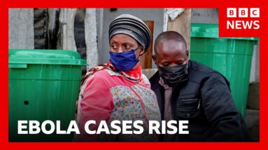 Ebola risk raised to 'very high' in DR Congo | BBC News