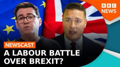 Does a Labour leadership race mean another UK Brexit debate? | BBC Newscast