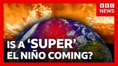 How ‘super’ El Niño could bring chaos to the world’s weather | BBC News