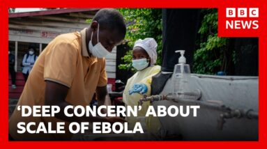 WHO 'deeply concerned' about Ebola outbreak in Democratic Republic of Congo | BBC News