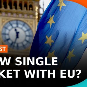 Could A Brexit Reset Mean A New Single Market? (Live At Hay Festival!) | BBC Newscast