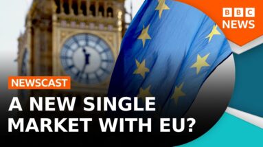 Could A Brexit Reset Mean A New Single Market? (Live At Hay Festival!) | BBC Newscast