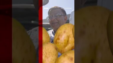 The demand for Indian mangoes has soared as cargo prices go up. #BBCNews