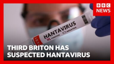 Third British national has suspected hantavirus in connection with outbreak on MV Hondius | BBC News