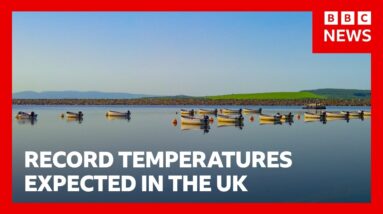 Watch LIVE: Record-breaking temperatures expected across the UK