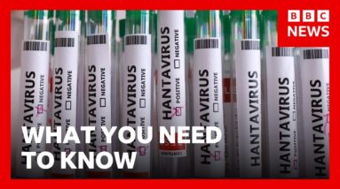What you need to know about Hantavirus | BBC News
