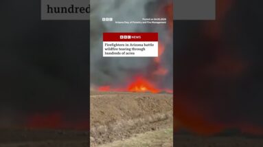 Wildfire tears through hundreds of acres in Arizona. #US #Arizona #BBCNews