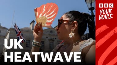 How to sleep, latest safety advice and more of your questions on the UK heatwave answered | BBC News