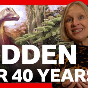 Antarctica’s first dinosaur fossil found in a drawer | BBC News