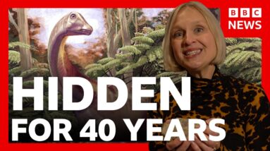 Antarctica’s first dinosaur fossil found in a drawer | BBC News