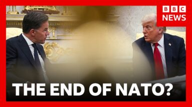 Can Nato survive without the US? | The Security Brief