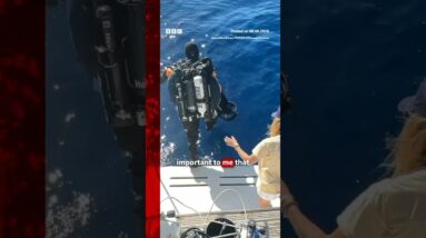 Rare footage captured of Great White shark in Mediterranean Sea. #Shark #Ocean #BBCNews