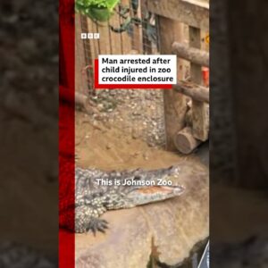 Man arrested on suspicion of attempted murder after boy injured in UK crocodile enclosure. #BBCNews