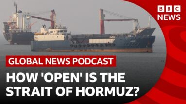 How 'open' is the Strait of Hormuz? | Global News Podcast| BBC News