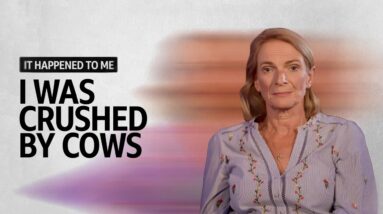 I Was Crushed by Cows | It Happened To Me