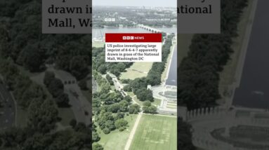 Police investigate '8647' written in grass on US national mall. #US #DonaldTrump #BBCNews